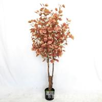 uploads/erp/collection/images/Home Garden/dgjiawang/XU0612598/img_b/XU0612598_img_b_4